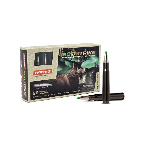 30-06 Norma  Ecostrike Silencer 9,7g/150gr