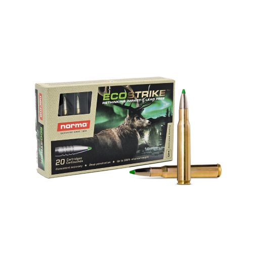 30-06 Norma Ecostrike 10,7/165gr