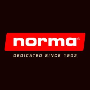Norma golyós lőszerek